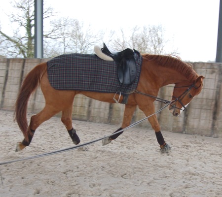 La longe O130